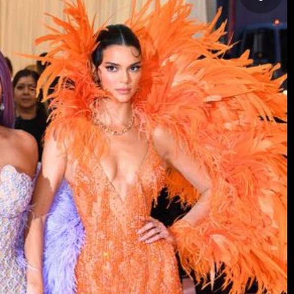 Kendall & Kylie Dresses & Skirts - Kendall Jenner Feather Dress Dupe
